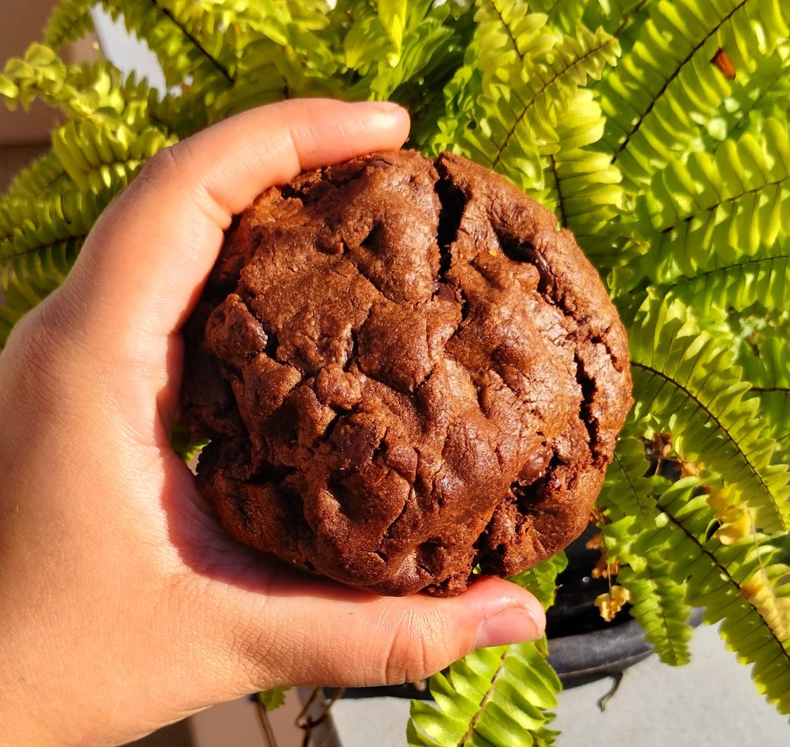 Cookie Chocolate